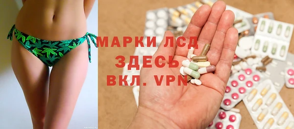 PSILOCYBIN Верея
