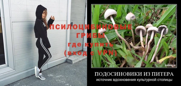 шишки Верхнеуральск