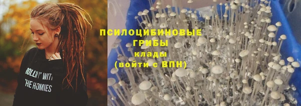 PSILOCYBIN Верея